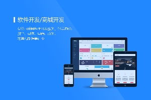 东莞新零售系统开发 天昊网络sell 东莞新零售ap